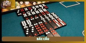 Bài cẩu
