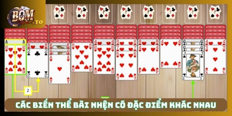 Các biến thể bài nhện có đặc điểm khác nhau